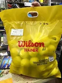 在飛比找Yahoo!奇摩拍賣優惠-◇ 羽球世家◇WILSON 網球 Trainer 無壓練習球