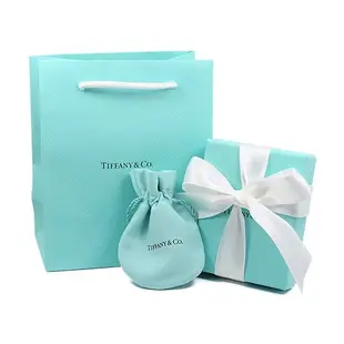 Tiffany&Co. 威尼斯ID鍊條造型 男士純銀手鐲手鍊/ 平行輸入