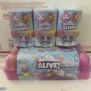 Hatchimals Alive Egg Carton and 3 Single Pack Boxes Set