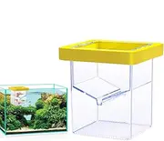 zjhukfmc Fish Isolation Box | Transparent Fish Tank Incubator - Suction Cup Hatching Container, Aquarium Acclimation Hatchery Incubator for Baby Shrimp and Guppy