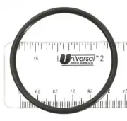 Gasket, Bulkhead Adaptor