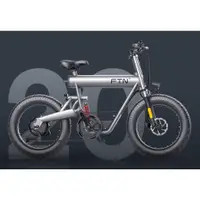 在飛比找蝦皮購物優惠-【天翼科技】FTN-T20 越野電動腳踏車COSWHEEL