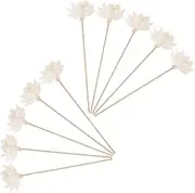 10pcs Decorative Aroma Diffuser Rattan Sticks Replacement Dried Flower Rods for Home Fragrance Elegant Decor for DIY Scented Oil Diffusers