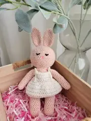 Crochet Bunny,Plush Animal,Baby's First Toy,Stuffed Animal, Soft Toy Baby Shower