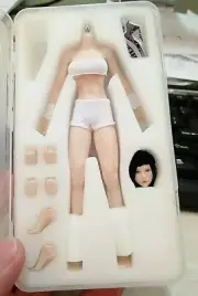 TBLeague PHMB2018-T01A 1/12 Pale Body Doll Model Medium Breast Figure Doll Toy