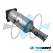 FAP DPF Peugeot 607, OE: 1731GJ, 174022