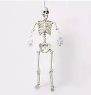 60" Posable Skeleton Halloween Mannequin - Hyde & EEK! Life Size Skeleton