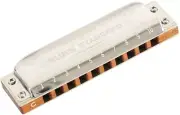East top Diatonic Harmonica Key of C Blues Standard Harmonica 10Holes PRO10 Gift