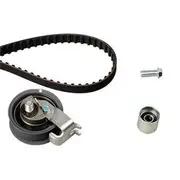 INA Timing Belt Kit - 530017010