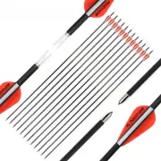 12pcs 31inch Archery Fiberglass Arrow Target Practice Recurve Compound Bow Shoot