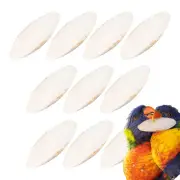 10Pcs Natural Cuttlefish Bone For Parakeets Birds Chew Toys Chewing Calcium