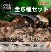 Bandai Gashapon Online Version Ikimono Encyclopedia Kabuto Mushi 07 All 6 ty