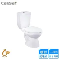 在飛比找momo購物網優惠-【CAESAR 凱撒衛浴】二段式省水馬桶/管距30(CF13