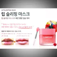 在飛比找蝦皮購物優惠-Laneige 晚安護唇膜 連線預購區 ❤️❤️❤️