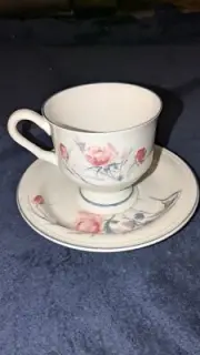 Vintage Sangostone Rose Flair Cup And Saucer Retired Pattern EUC New Replacement