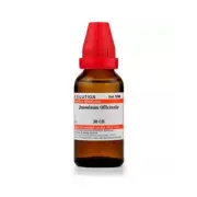 Willmar Schwabe India Homeopathic Jasminum Officinale Dilution 30ml