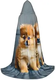 SKKNT Pomeranians Puppies And Point Print Halloween Hooded Cloak Full Length Cape With Hood For Men And Women For Carnival