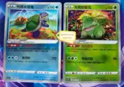 Pokémon Exclusive Chinese Pokemon GO K Radiant Blastoise + Venusaur Holo 2 Cards