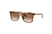 Womens Coach Sunglasses Hc8374u Dark Tortoise/ Brown Pink Gradient Sunnies