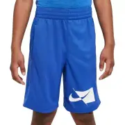 Nike Dri-Fit Big Boys Training Shorts. Brand New. Big Kids Size: XL