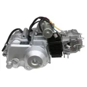 3 + 1 125cc Engine 4 Stroke Electric Start Automatic Clutch ATV Quad Buggy Bike