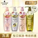 【Schwarzkopf 施華蔻】 髮芯賦源 專研修護系列400ml_1入組(胺基酸賦活修護洗髮露/護髮素、豐盈韌髮洗髮露/護髮素、髮根調理修護洗髮露、生薑精華洗髮露)