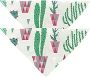 2 Pack Owner and Dog Bandana Set, Pet's Mom/Dad Bandana or Scarf Set, Family Matching Bandanas, Cactus Succulents Cartoon