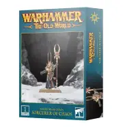 Warhammer The Old World: Warriors of Chaos- Sorcerer of Chaos