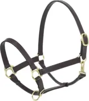 Camelot Horse Adjustable Brown Leather Stable Halter - N2