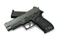 在飛比找Yahoo!奇摩拍賣優惠-台南 武星級 WE P226 全金屬 瓦斯槍(BB槍BB彈玩