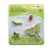 Safari Ltd Life Cycle of a Luna Moth, #SAF663516