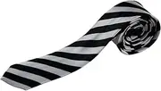 [Zasel] Mens White & Black Thick Diagonal Stripe 5cm Skinny Neck Tie White, Black