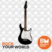 Peavey Raptor Custom Electric Guitar Black