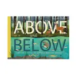 ABOVE AND BELOW/PATRICIA HEGARTY ESLITE誠品