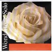 Wondertone Solo Violin E String 4/4 Advan Loop STARK