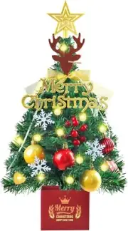 24 Inch Small Christmas Tree with Lights,Star Treetop and Ornaments
