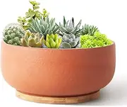 SQOWL Terracotta Planter Pot for Succulent 8 Inch Pottery Pot Round Planter Cactus Clay Flower Pot with Drain Hole and Bamboo Tray Indoor Outdoor