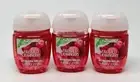 3 BATH BODY WORKS FROSTED CRANBERRY POCKETBAC ANTI BACTERIAL HAND GEL SANITIZER
