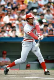 Dave Concepcion of the Cincinnati Reds 1981 Baseball Photo 15