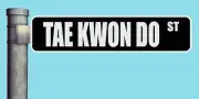 TAE KWON DO ST STREET SIGN HEAVY DUTY ALUMINUM ROAD SIGN 17" x 4"