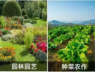 鋤頭除草神器戶外全鋼家用便攜小鋤頭種菜挖土鋤草工具農用種花鋤