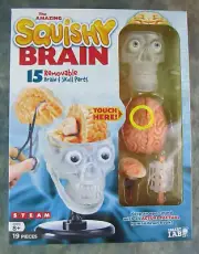 SmartLab Toys The Amazing Squishy Brain - Homeschooling