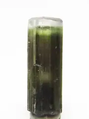 17.0 mm WHITE-CAPPED TRI-COLOUR TOURMALINE CRYSTAL, PAKISTAN