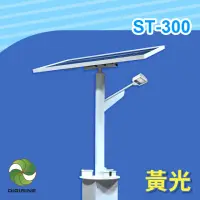 在飛比找momo購物網優惠-【DIGISINE】ST-300 太陽能智能路燈 - 12V