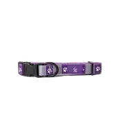 Melbourne Storm NRL Dog Collar