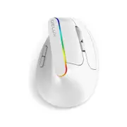 Delux M618c, 2.4ghz Wireless Optical Ergonomic Mouse, White