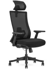 [Lifespan Fitness] Fitness DM9 Ergonomic Mesh High Back Office Chair in Black