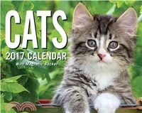 在飛比找三民網路書店優惠-Cats 2017 Calendar