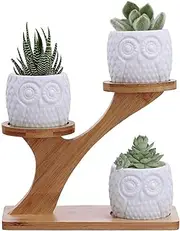 3 Pcs Modern White Ceramic Succulent Pots with 3 Tier Bamboo Saucers Stand Holder - Flower Planter Plant Pot with Drainage - Indoor Mini Home Office Desk Decoration Plant Pot - White - Pack of 3