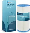 Pureline 56 Sq Ft Pool Replacement Cartridge Filter, 1 Each, Compatible with Hay